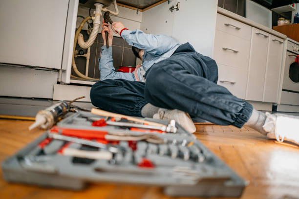 Best Emergency Plumber  in Swanton, OH