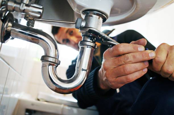Best Plumbing Services Near Me  in Swanton, OH