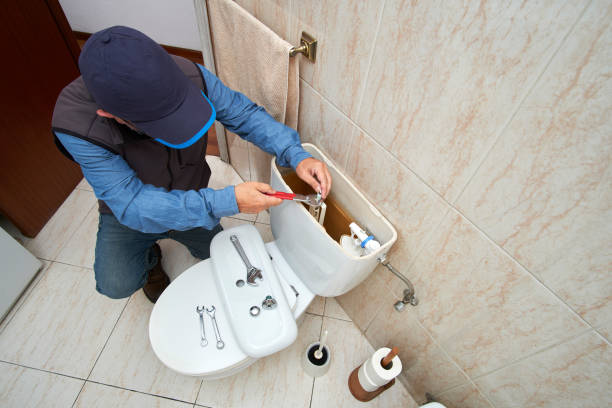 Best Affordable Plumber Near Me  in Swanton, OH