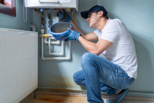 Best Toilet Repair Services  in Swanton, OH