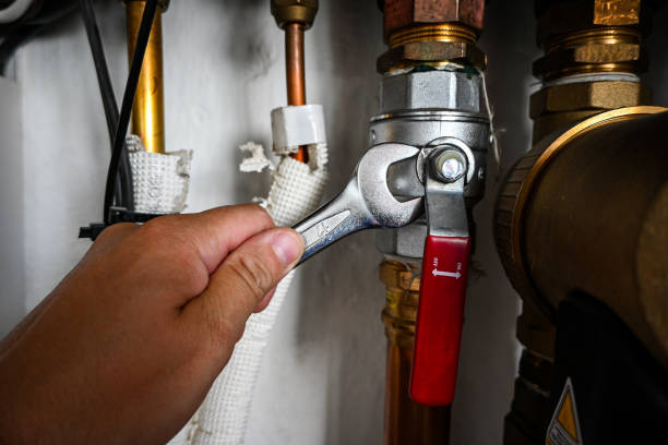Best Shower Repair Services  in Swanton, OH